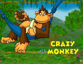 Crazy monkey